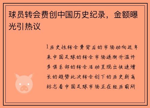 球员转会费创中国历史纪录，金额曝光引热议