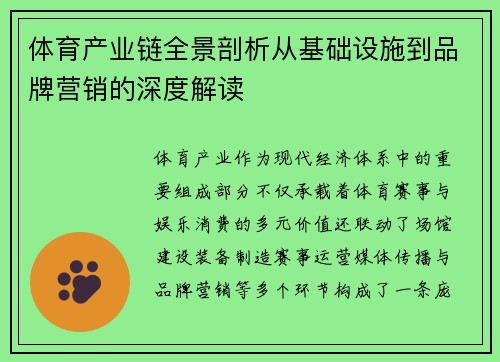体育产业链全景剖析从基础设施到品牌营销的深度解读